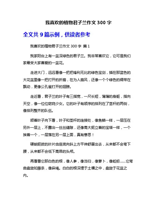 我喜欢的植物君子兰作文300字