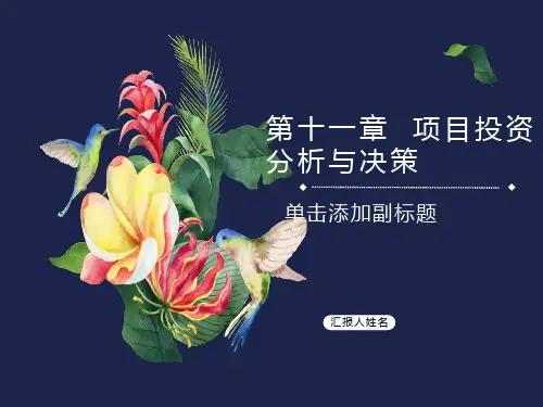 项目投资分析与决策