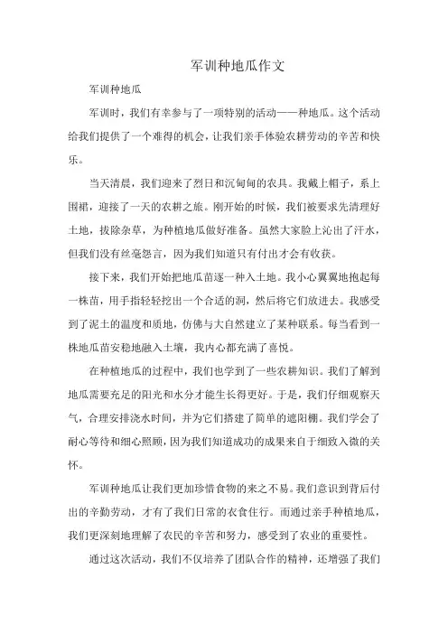 军训种地瓜作文