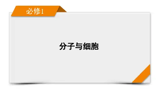 必修1 第3单元 第3讲 第2课时 影响光合作用的环境因素及其应用