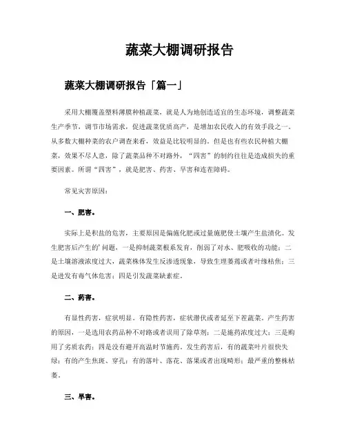 蔬菜大棚调研报告
