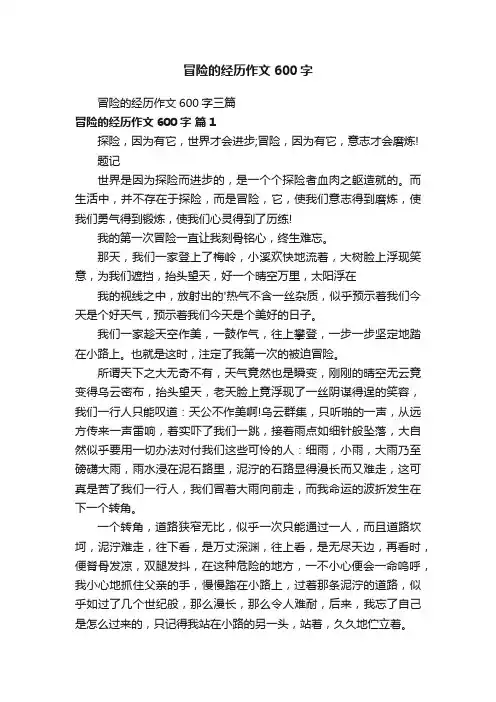 冒险的经历作文600字三篇