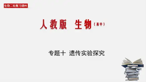 高中生物高考专题10 遗传实验探究-2020年高考备考生物二轮复习课件(共45张PPT)