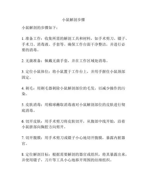 小鼠解剖步骤