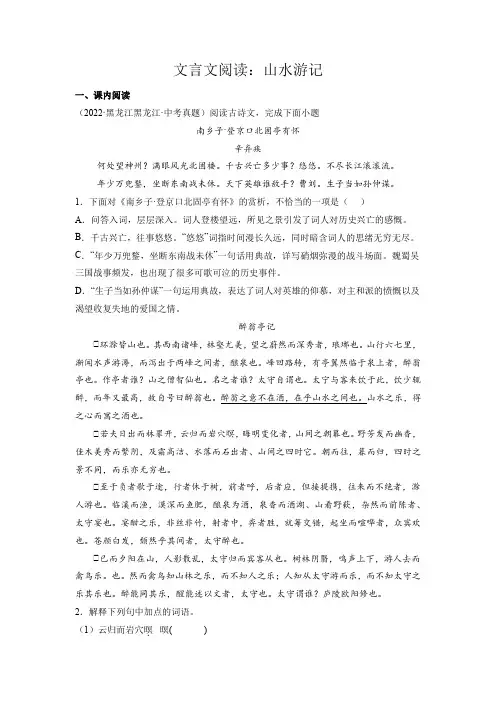 中考语文专题11文言文阅读山水游记(解析版)