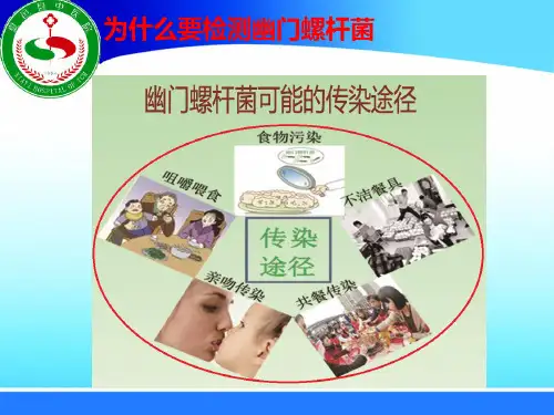 幽门螺杆菌分型检测