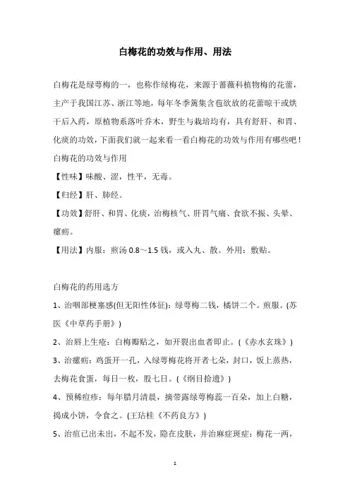 白梅花的功效与作用、用法