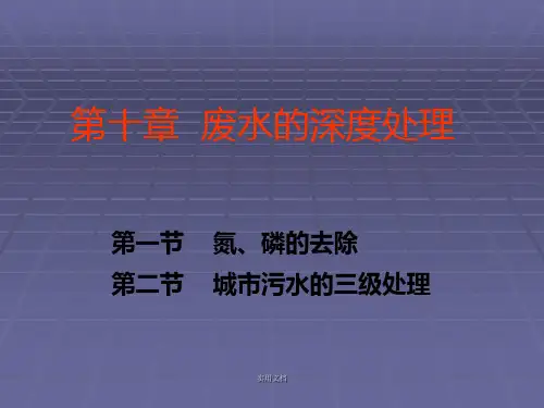 废水的深度处理