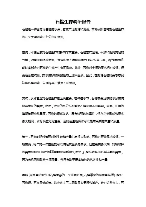 石榴生存调研报告