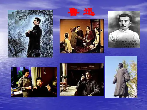 《少年闰土》ppt课件
