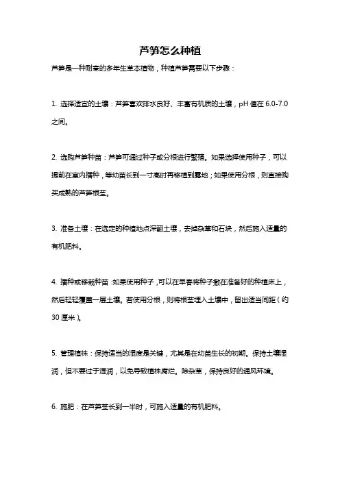 芦笋怎么种植