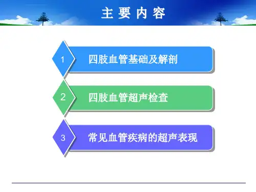 四肢血管超声基础ppt课件