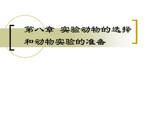 实验动物的选择与准备