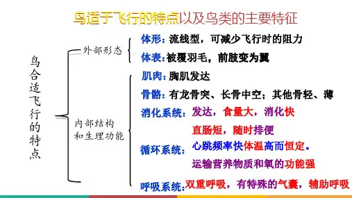 哺乳动物课件(1)(人教版生物)