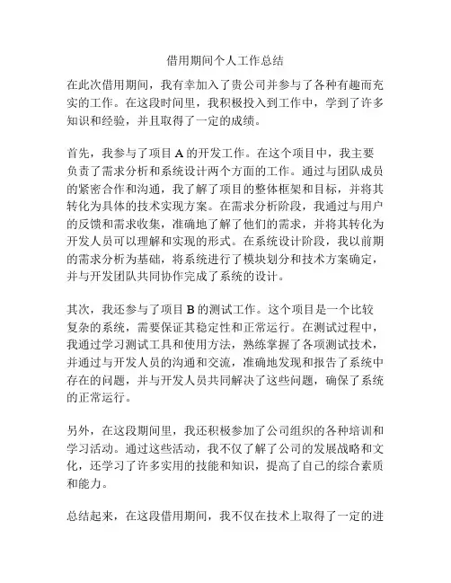 借用期间个人工作总结