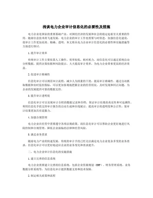 浅谈电力企业审计信息化的必要性及措施