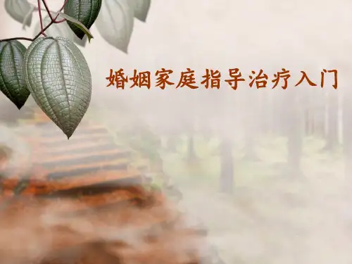 婚姻家庭治疗入门课件