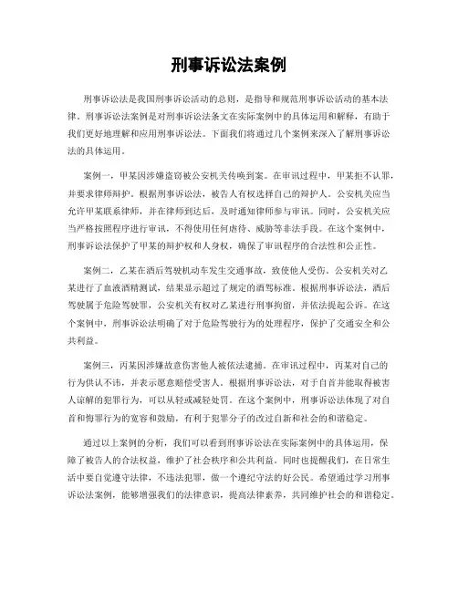 刑事诉讼法案例