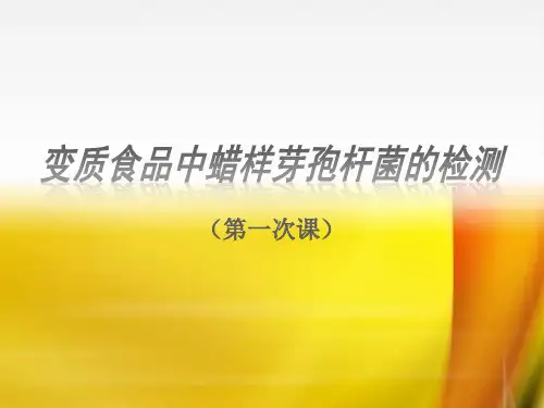 蜡样芽孢杆菌的检测.ppt