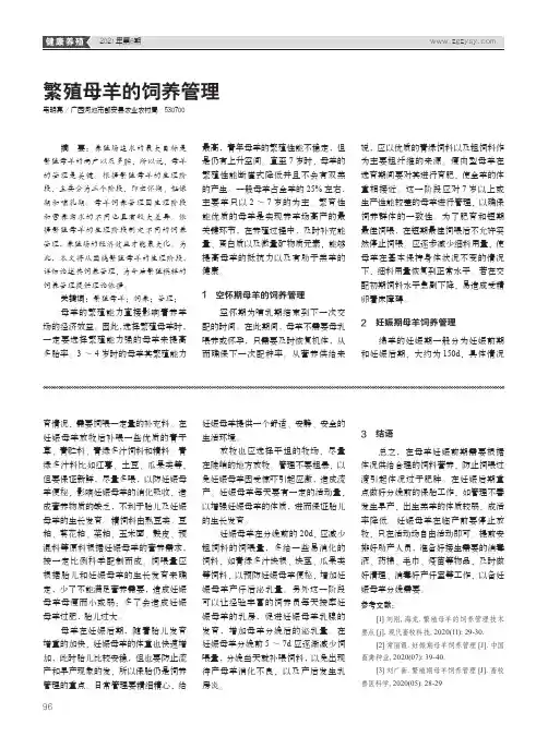 繁殖母羊的饲养管理