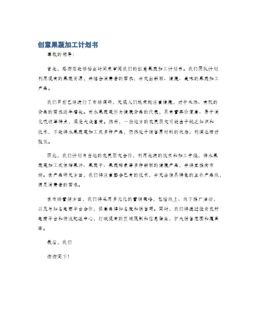 创意果蔬加工计划书