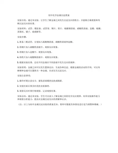 初中化学金属沉淀教案