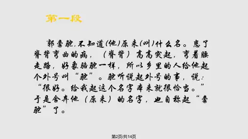 种树郭橐驼传ppt课件