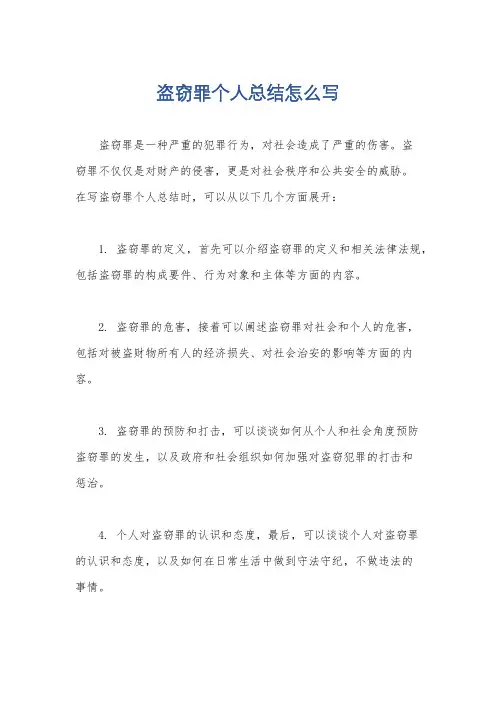盗窃罪个人总结怎么写