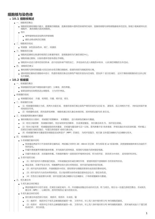 细胞生物学-细胞核与染色体思维导图知识大纲