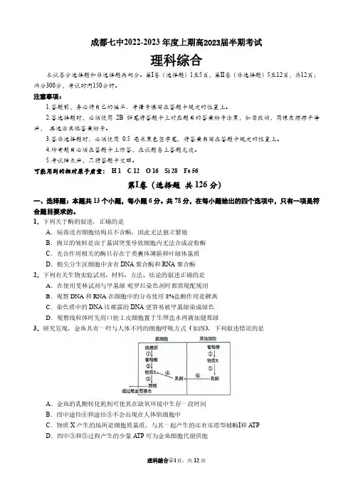 四川省成都七中2022-2023 年度高三上学期期中考试理科综合(物理化学生物)试题(含答案)