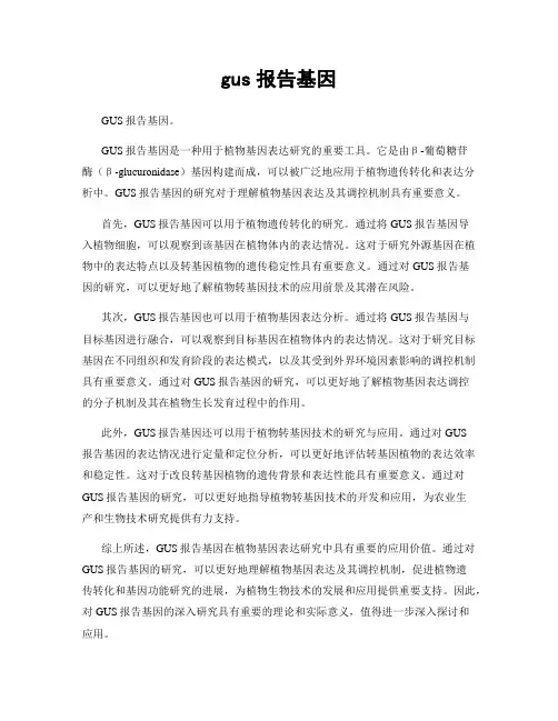 gus报告基因