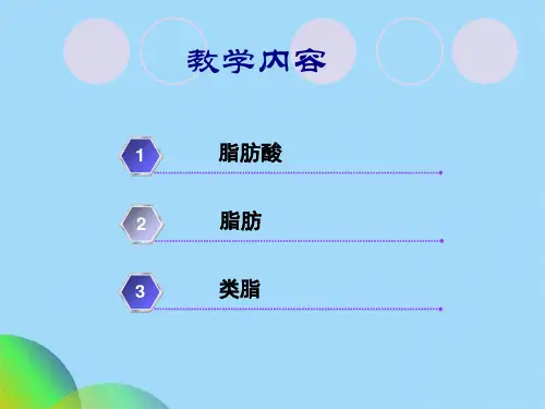 脂类化学ppt(共48张PPT)