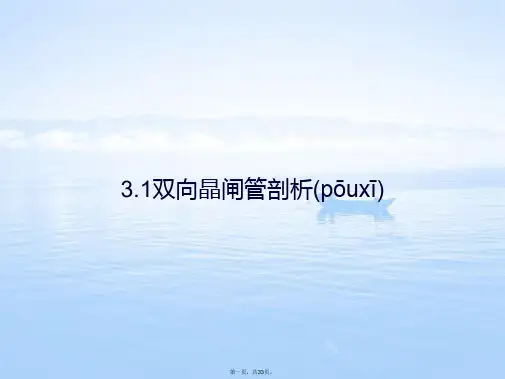 双向晶闸管剖析