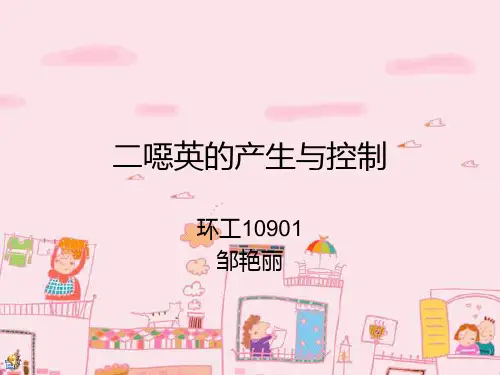 二恶英的产生与控制