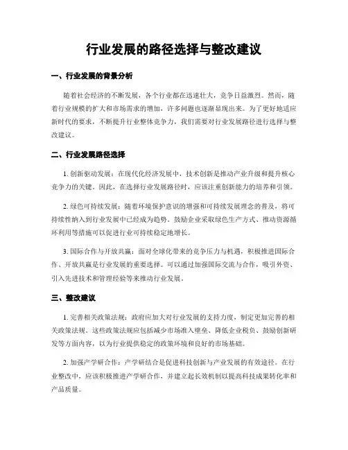 行业发展的路径选择与整改建议