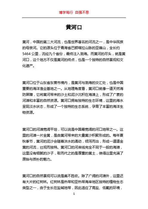 黄河口_精品文档