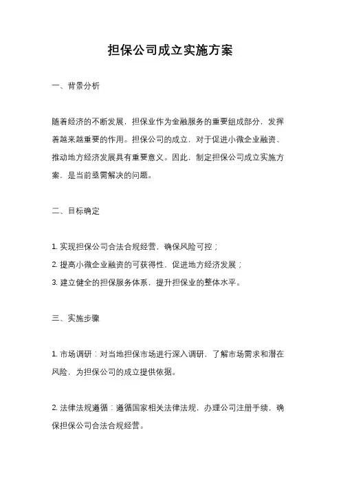 担保公司成立实施方案