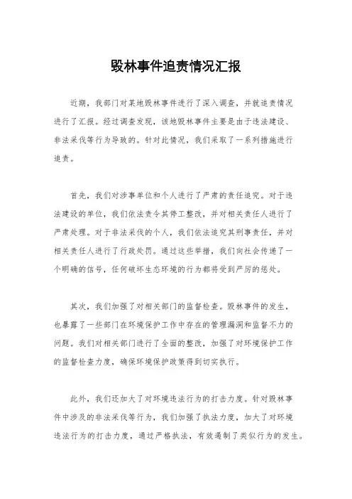 毁林事件追责情况汇报
