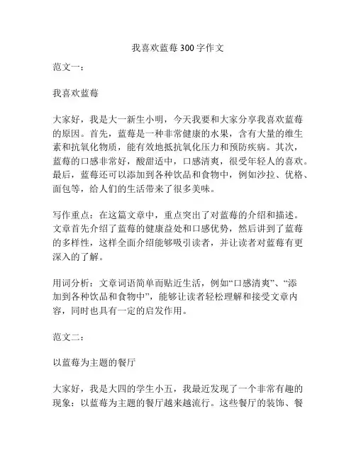 我喜欢蓝莓300字作文