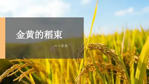诗歌赏析-郑敏《金黄的稻束》课件PPT(41页)