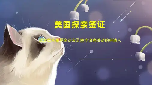 美国探亲签证