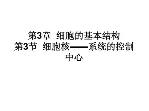 第3章  细胞的基本结构(细胞核)