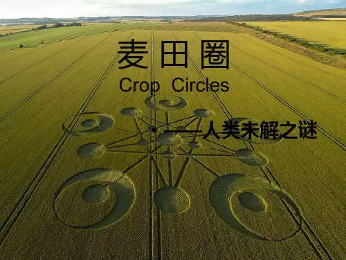 麦 田 圈