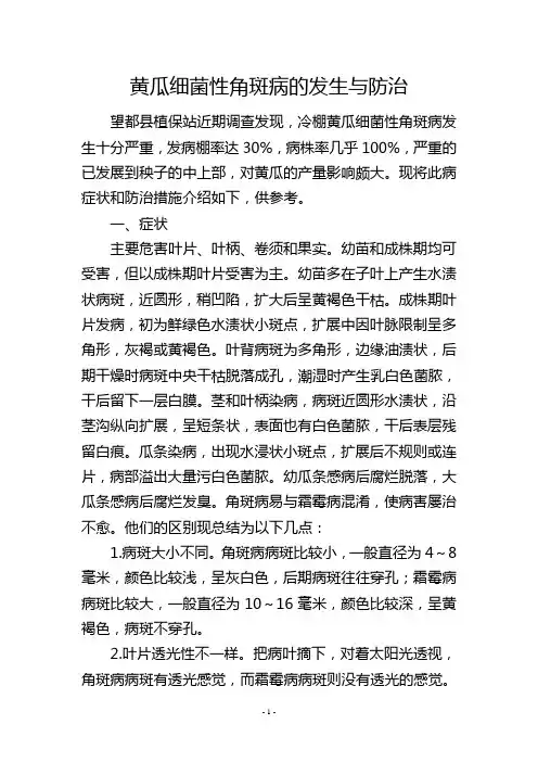 黄瓜细菌性角斑病的发生与防治