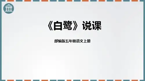 部编版小学语文五年级上册《白鹭 》教学精品课件