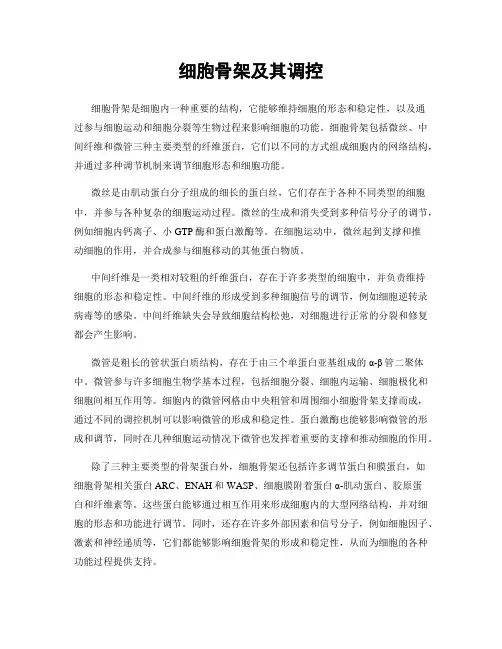 细胞骨架及其调控