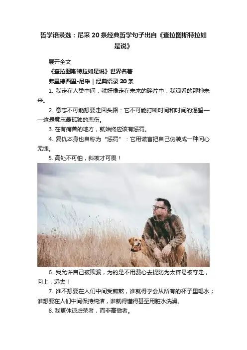 哲学语录选：尼采20条经典哲学句子出自《查拉图斯特拉如是说》