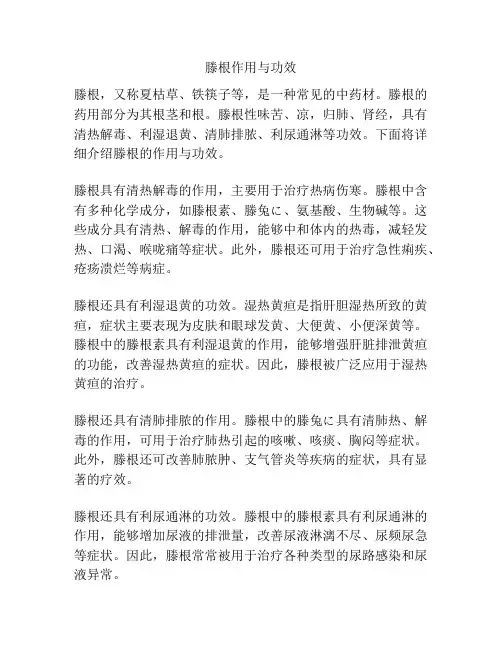 滕根作用与功效