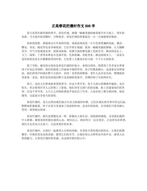 正是春花烂漫时作文500字