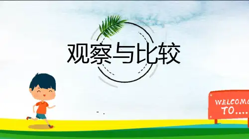 《观察与比较》PPT精品课件